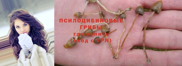 дживик Алзамай