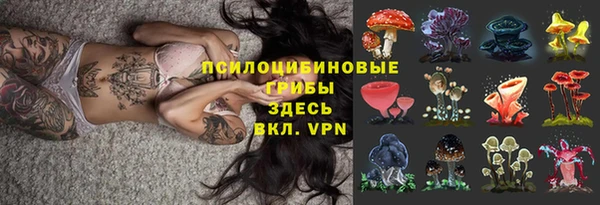 прущий лед Алексин