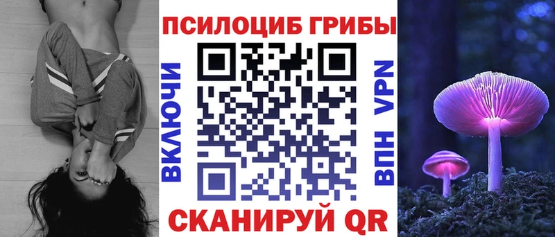 магазин продажи   Новоульяновск  Псилоцибиновые грибы Magic Shrooms 