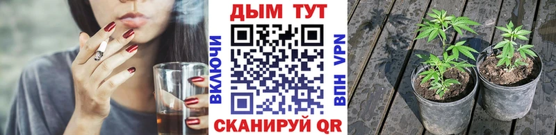 Шишки марихуана план  Новоульяновск 